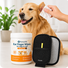 Collection image for: Pet Grooming & Cleaning