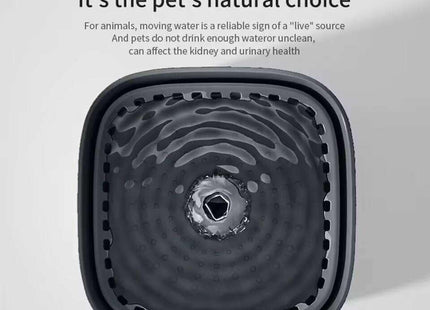 Pet Water Fountain Super Silent | All Pets Indoor (Anthracite Grey, 3L)