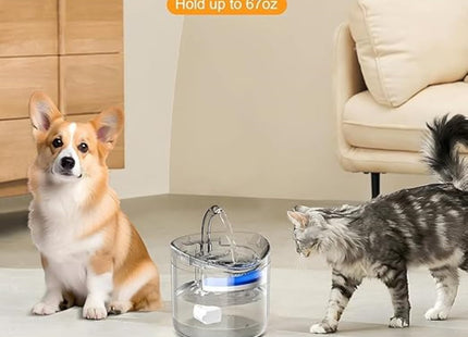 Furry Life Pet Water Fountain Super Silent - Water Fountains for All Pets Indoor - Suitable for Cats, Birds, Rabits and Dogs - (Transparent 2L)