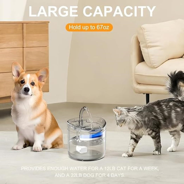 Furry Life Pet Water Fountain Super Silent - Water Fountains for All Pets Indoor - Suitable for Cats, Birds, Rabits and Dogs - (Transparent 2L)