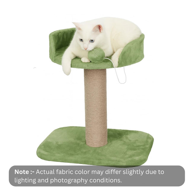 Furry Life Cat Tree Hammock Bed with Natural Sisal Scratching Posts and Teasing Feather for Kitten (001 - Green)