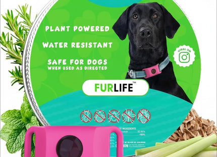 FurLife Green Pet Tag – Calming & Flea and Tick Prevention Pendant for Dogs & Cats | Waterproof Collar Tag | Safe for All Breeds