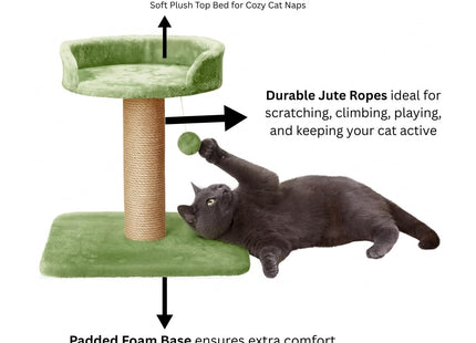 Furry Life Cat Tree Hammock Bed with Natural Sisal Scratching Posts and Teasing Feather for Kitten (001 - Green)