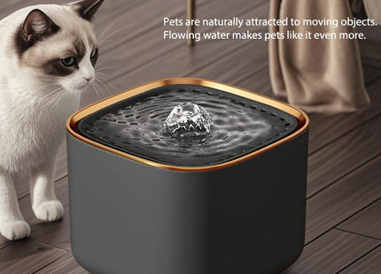 Pet Water Fountain Super Silent | All Pets Indoor (Anthracite Grey, 3L)