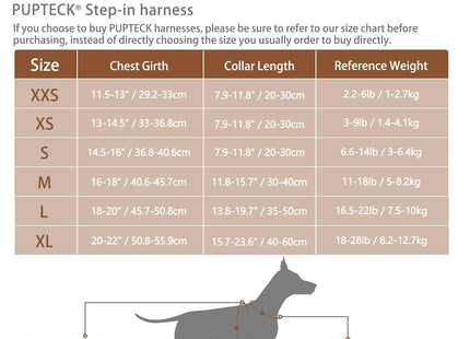 PUPTECK Adjustable Pet Harness Collar and Leash Set for Small Dogs Puppy and Cats Outdoor Training and Running, Soft Mesh Padded Reflective Vest Harness