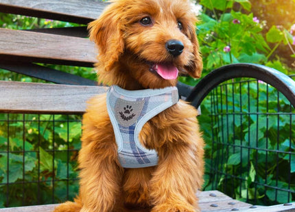PUPTECK Adjustable Pet Harness Collar and Leash Set for Small Dogs Puppy and Cats Outdoor Training and Running, Soft Mesh Padded Reflective Vest Harness