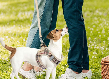 Pupteck Adjustable No-Pull Dog Harness, Collar and Leash Set for Small Medium Dogs, Puppies and Cats, Soft Mesh Padded Reflective Chest Strap for Walking and Training (Beige, XL (Chest 20"-22"))