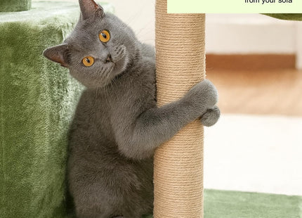 Cat Tree Hammock Bed with Natural Sisal Scratching Posts and Teasing Feather for Kitten (30- Green)