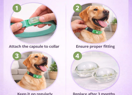 Calming Buckle for Pets – Anxiety Relief Pheromone Device, Helps Reduce Stress During Loud Noises, Travel & Separation, Fits Dog & Cat Collar