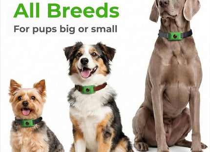 FurLife Green Pet Tag – Calming & Flea and Tick Prevention Pendant for Dogs & Cats | Waterproof Collar Tag | Safe for All Breeds