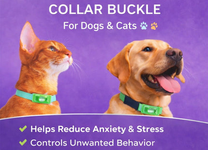 Calming Buckle for Pets – Anxiety Relief Pheromone Device, Helps Reduce Stress During Loud Noises, Travel & Separation, Fits Dog & Cat Collar