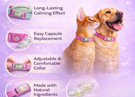 Calming Buckle for Pets – Anxiety Relief Pheromone Device, Helps Reduce Stress During Loud Noises, Travel & Separation, Fits Dog & Cat Collar (Black)