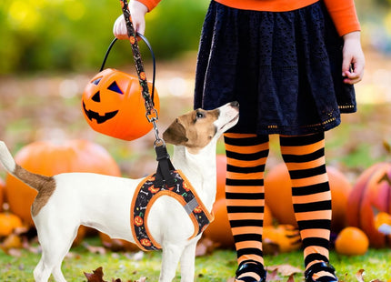 PUPTECK Adjustable Dog Harness Collar and Leash Set Step in No Pull Pet Harness for Small Medium Dogs Puppy and Cats Outdoor Walking Running, Soft Mesh Padded Reflective Vest Harnesses, Halloween, XS