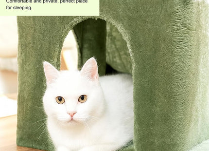 Cat Tree Hammock Bed with Natural Sisal Scratching Posts and Teasing Feather for Kitten (30- Green)