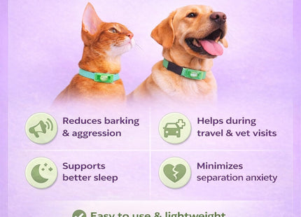 Calming Buckle for Pets – Anxiety Relief Pheromone Device, Helps Reduce Stress During Loud Noises, Travel & Separation, Fits Dog & Cat Collar