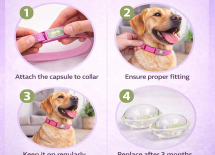 Calming Buckle for Pets – Anxiety Relief Pheromone Device, Helps Reduce Stress During Loud Noises, Travel & Separation, Fits Dog & Cat Collar (Black)