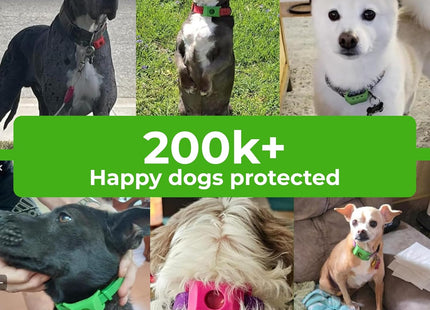 FurLife Green Pet Tag – Calming & Flea and Tick Prevention Pendant for Dogs & Cats | Waterproof Collar Tag | Safe for All Breeds