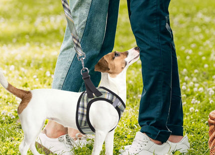 PUPTECK Adjustable Dog Harness Collar and Leash Set Step in No Pull Pet Harness for Small Medium Dogs Puppy and Cats Outdoor Walking Running, Soft Mesh Padded Reflective Vest Harnesses, Grn&YLW, XS